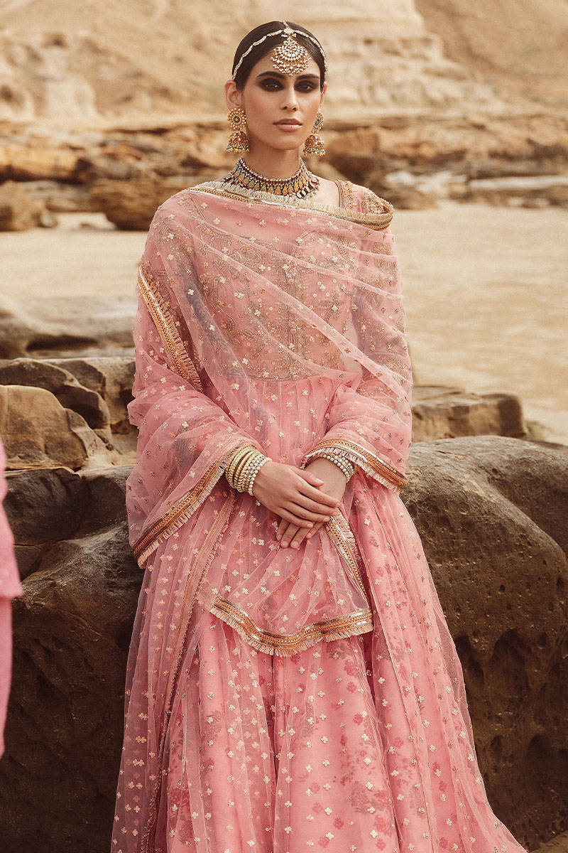 Picture of Meera