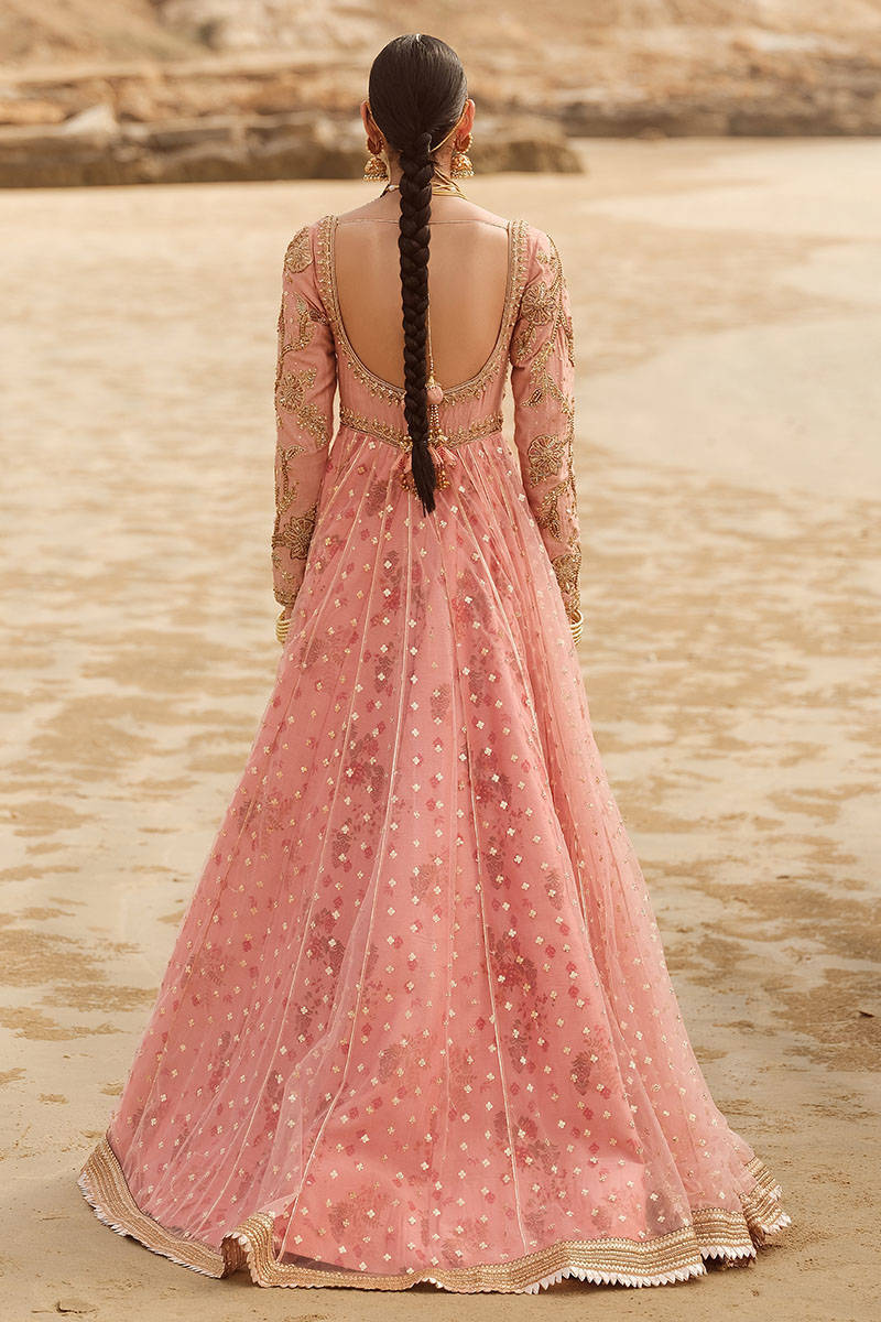 Picture of Meera
