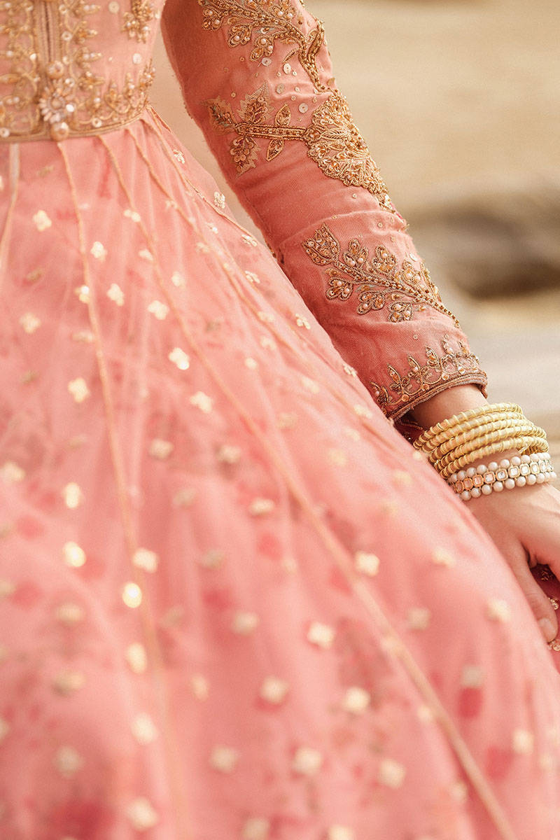 Picture of Meera
