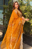 Picture of Minaal